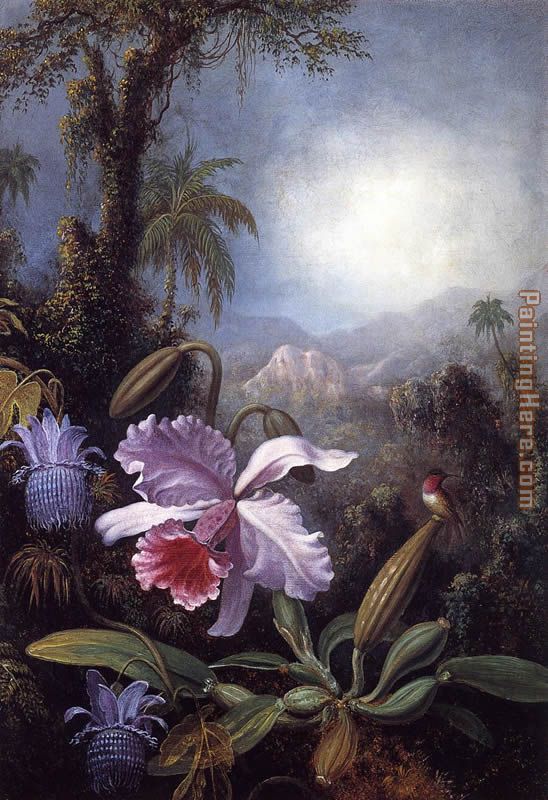 Martin Johnson Heade Orchids, Passion Flowers and Hummingbird